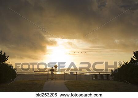 Man watching sunset at waterfront View Large Photo Image Stock Photograph - Man watching sunset at waterfront. Fotosearch