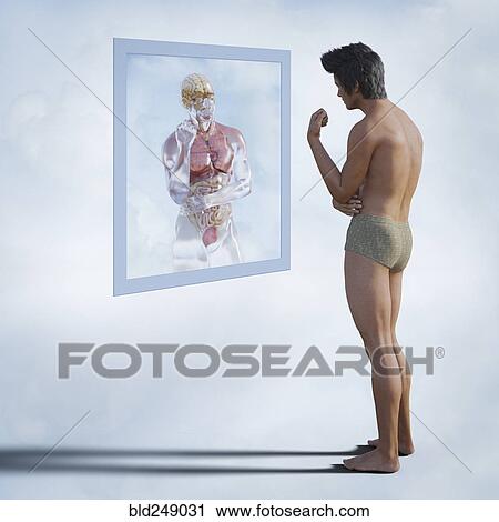 Men examining reflection of organs in virtual mirror View Large Photo Image Stock Image - Men examining reflection of organs in virtual mirror. Fotosearch