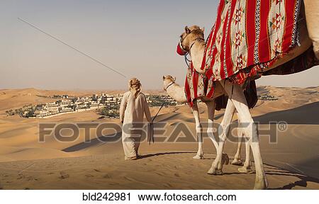 Middle Eastern man walking camels in desert View Large Photo Image Stock Image - Middle Eastern man walking camels in desert. Fotosearch