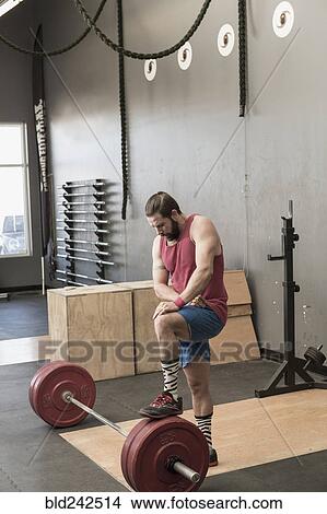 Picture - Mixed Race man resting on barbell in gymnasium. Fotosearch