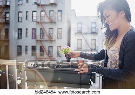 Mixed Race woman planting flowers in rooftop planter View Large Photo Image Picture - Mixed Race woman planting flowers in rooftop planter. Fotosearch