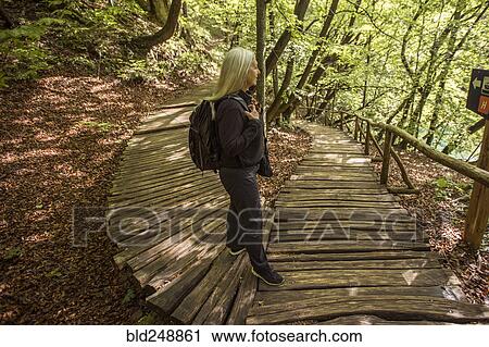 Older Caucasian woman reading sign on wooden pathway in forest View Large Photo Image Stock Image - Older Caucasian woman reading sign on wooden pathway in forest. Fotosearch