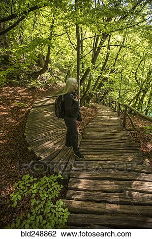 Stock Image - Older Caucasian woman walking on wooden pathway in forest. Fotosearch