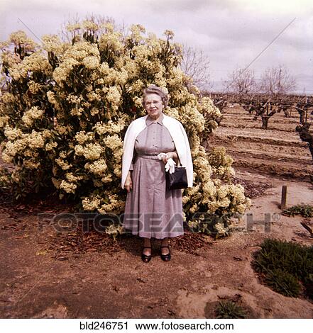 Stock Image - Older Caucasian woman wearing dress near vineyard. Fotosearch