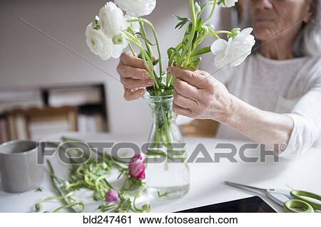 Stock Image - Older woman arranging flowers. Fotosearch