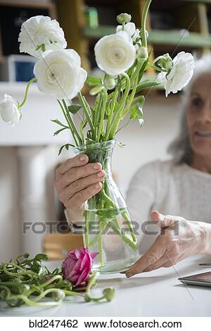 Older woman arranging flowers View Large Photo Image Stock Image - Older woman arranging flowers. Fotosearch