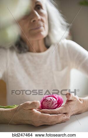 Picture - Older woman holding pink flower. Fotosearch
