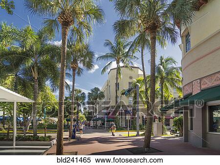 Stock Photography - Palm trees on urban sidewalk, Miami Beach, Florida, United States. Fotosearch