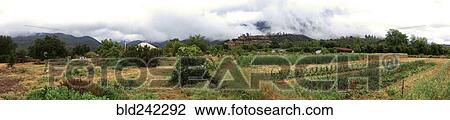 Stock Image - Panoramic view of farm fields in rural landscape. Fotosearch