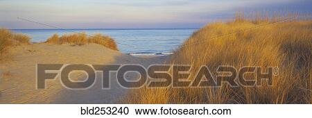 Path between sand dunes near ocean View Large Photo Image Stock Image - Path between sand dunes near ocean. Fotosearch