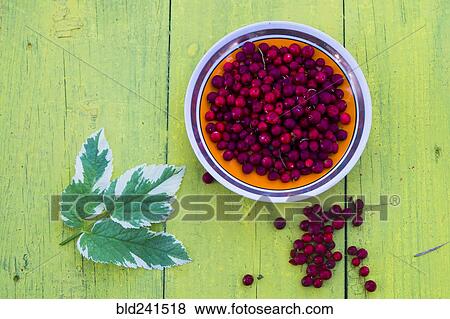 Stock Photo - Plate of red berries and leaf on wooden table. Fotosearch