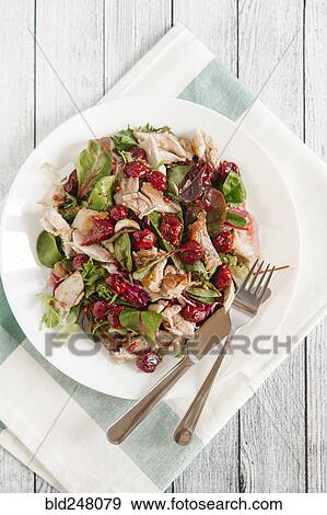 Plate of salad with chicken and cherry sauce View Large Photo Image Stock Photo - Plate of salad with chicken and cherry sauce. Fotosearch