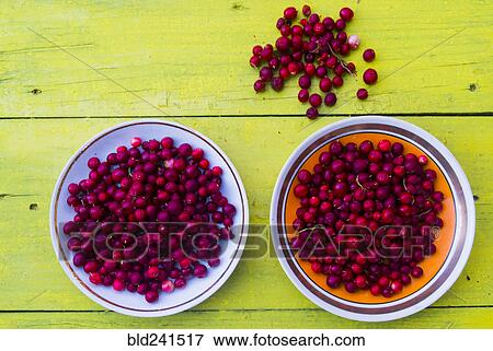 Stock Photo - Plates of red berries on wooden table. Fotosearch