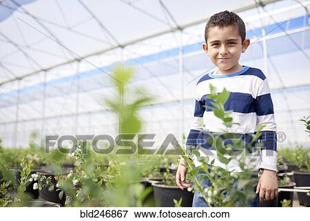 Stock Photo - Portrait of Hispanic boy standing in greenhouse. Fotosearch