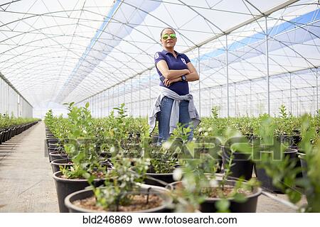 Stock Photo - Portrait of serious Hispanic woman wearing sunglasses in greenhouse. Fotosearch