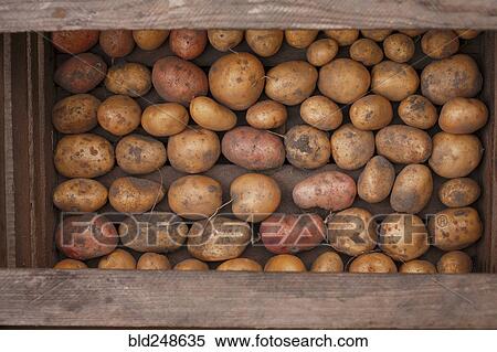 Stock Photography - Potatoes in a wooden box. Fotosearch