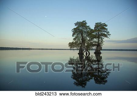 Stock Image - Reflection of trees in river at sunset. Fotosearch