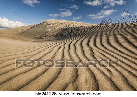 Stock Photograph - Ripples in sand dunes. Fotosearch