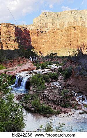 River pouring over Havasu Falls, Grand Canyon, United States View Large Photo Image Stock Photograph - River pouring over Havasu Falls, Grand Canyon, United States. Fotosearch