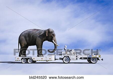 Stock Image - Robot driving tractor pulling elephant on trailer. Fotosearch
