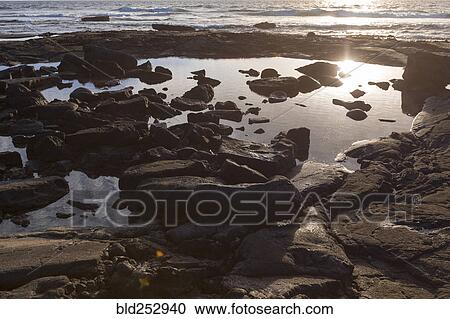 Stock Image - Rocks in tide pool on ocean beach at sunset. Fotosearch