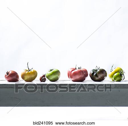 Row of fresh tomatoes on wooden table View Large Photo Image Stock Photography - Row of fresh tomatoes on wooden table. Fotosearch