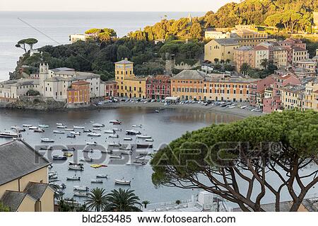Scenic view of boats in harbor, Vernazza, Liquria, Italy View Large Photo Image Stock Photography - Scenic view of boats in harbor, Vernazza, Liquria, Italy. Fotosearch