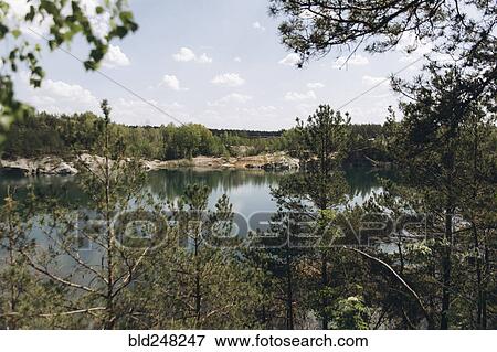 Scenic view of trees near lake View Large Photo Image Stock Photo - Scenic view of trees near lake. Fotosearch