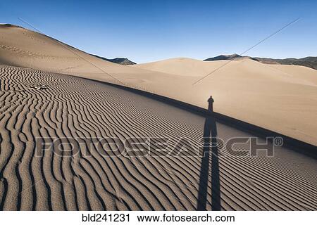 Shadow of person on sand dunes View Large Photo Image Stock Image - Shadow of person on sand dunes. Fotosearch