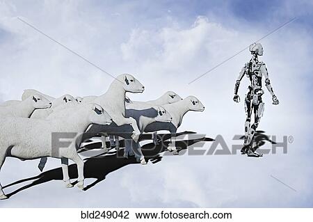 Sheep following robot View Large Photo Image Stock Image - Sheep following robot. Fotosearch