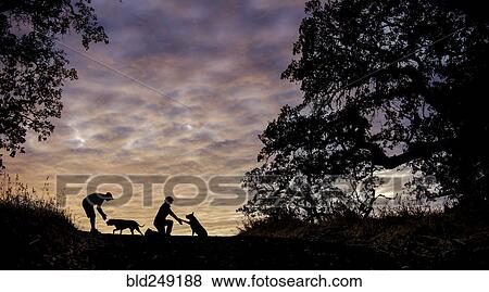Stock Photo - Silhouette of Caucasian couple with dogs in field. Fotosearch