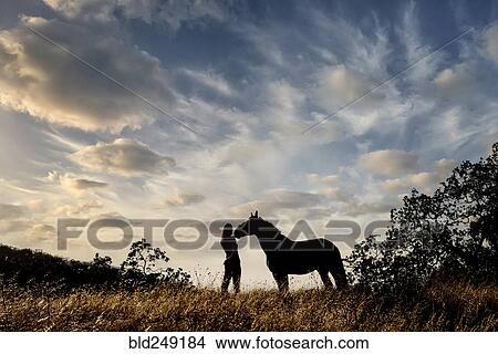 Picture - Silhouette of Caucasian woman and horse standing in landscape. Fotosearch