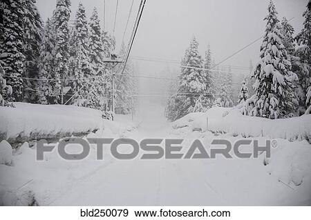 Stock Photo - Snow covered remote road. Fotosearch
