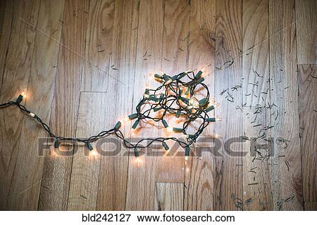 Stock Photo - String lights on floor with Christmas tree pine needles. Fotosearch
