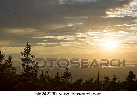 Stock Image - Sunrise over treetops in remote landscape. Fotosearch