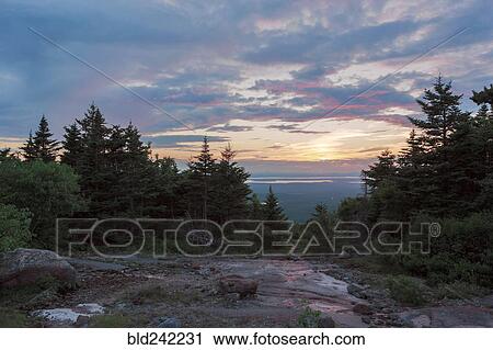 Sunrise over treetops on remote hillside View Large Photo Image Stock Image - Sunrise over treetops on remote hillside. Fotosearch