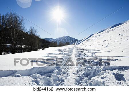 Trail in snow on sunny mountain View Large Photo Image Stock Image - Trail in snow on sunny mountain. Fotosearch