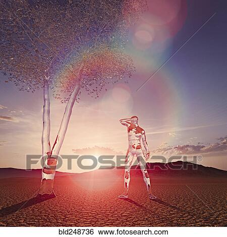 Stock Photograph - Transparent man and tree in desert. Fotosearch