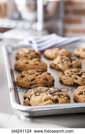 Picture - Tray of fresh chocolate chip cookies. Fotosearch