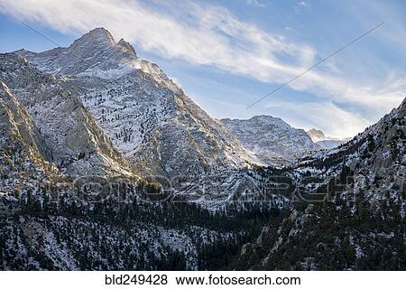 Stock Photo - Trees near mountains. Fotosearch
