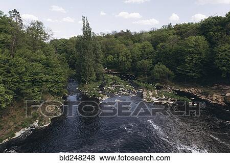 Stock Photo - Trees near river. Fotosearch