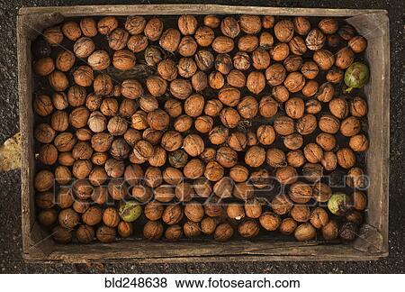 Stock Photo - Walnuts in wooden box. Fotosearch