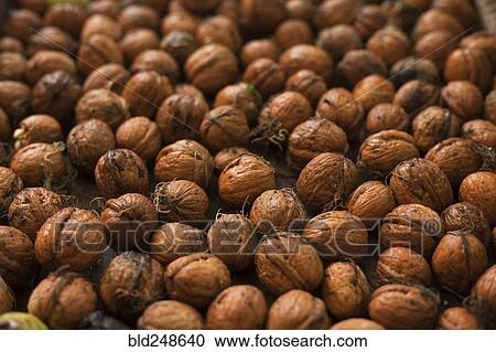 Stock Image - Walnuts. Fotosearch