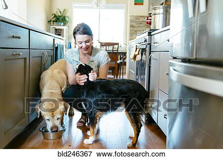Stock Photo - Woman feeding and petting dogs in domestic kitchen. Fotosearch