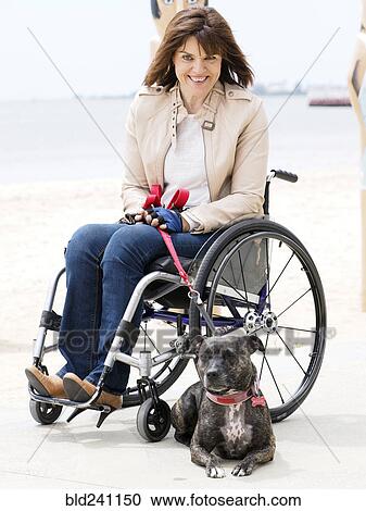 Woman sitting in wheelchair at waterfront with dog on leash View Large Photo Image Stock Image - Woman sitting in wheelchair at waterfront with dog on leash. Fotosearch
