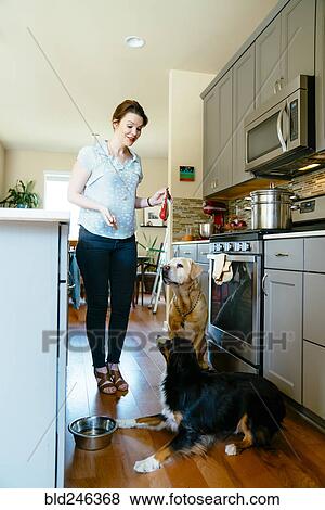 Stock Photo - Woman training dogs in domestic kitchen. Fotosearch