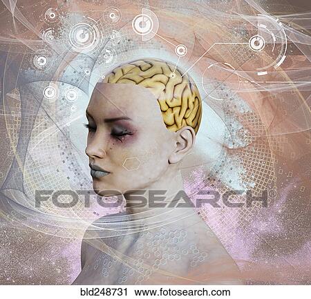 Stock Image - Woman with artificial intelligence brain. Fotosearch