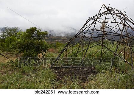 Stock Image - Wood teepee frame in organic farm field. Fotosearch
