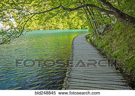 Stock Photography - Wooden pathway near water. Fotosearch