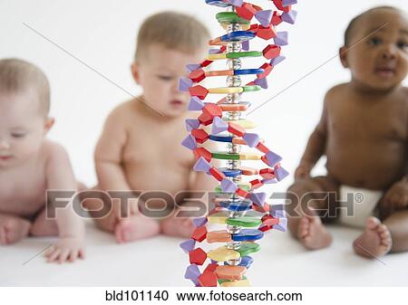 Stock Image - Babies sitting with DNA helix. Fotosearch